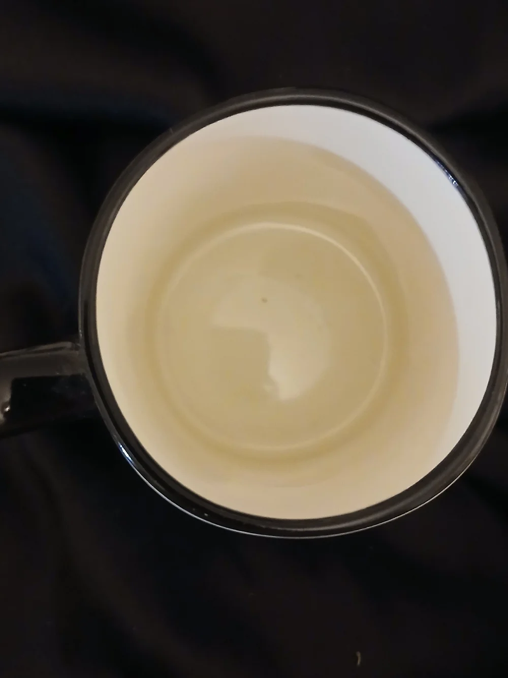 Signature Housewares Fashion Cat Coffee Mug